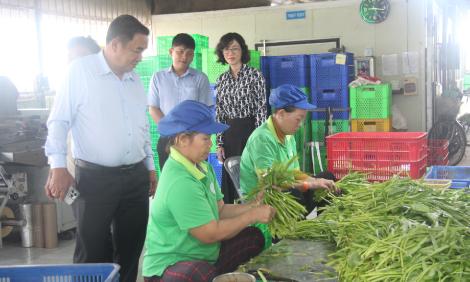 Lãnh đạo xã Rạch Kiến khảo sát hoạt động hợp tác xã và tuyến đường Lê Văn Duyệt