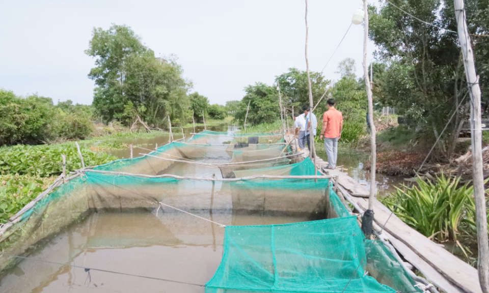 Xã Phước Chỉ khai thác thế mạnh nuôi trồng thủy sản