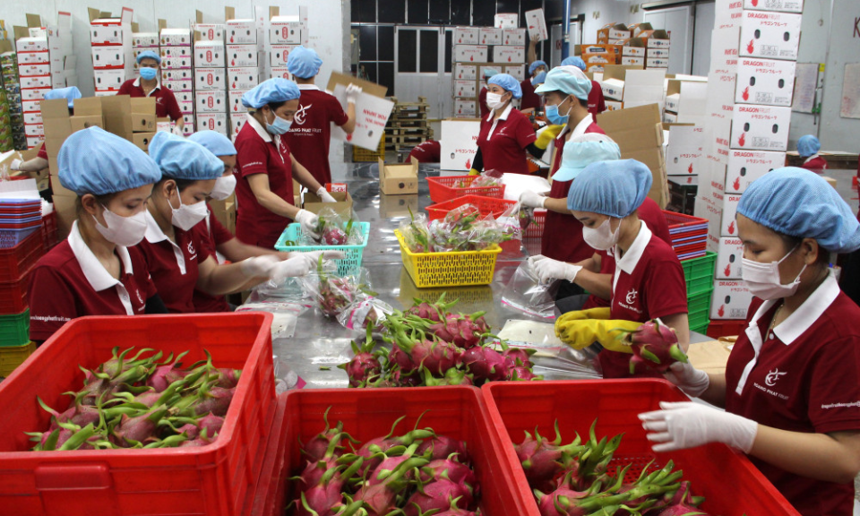 Building growing area codes—The key to improving agricultural products