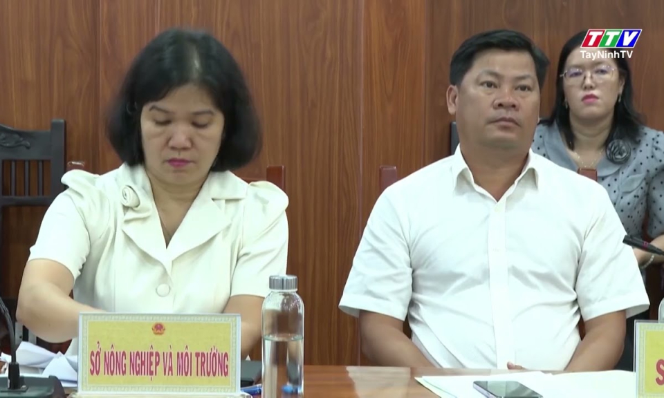 Tây Ninh: Sẵn sàng cho Hội nghị kết nối chuỗi cung ứng hàng hóa xuất nhập khẩu, thương mại điện tử