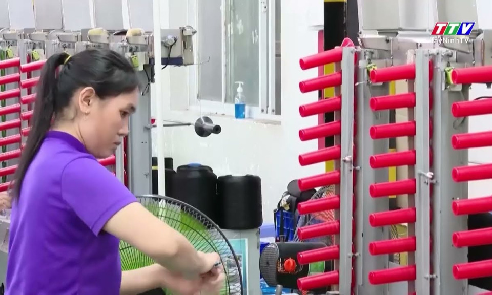 Tây Ninh cấp mới 19 dự án FDI trong tháng 8