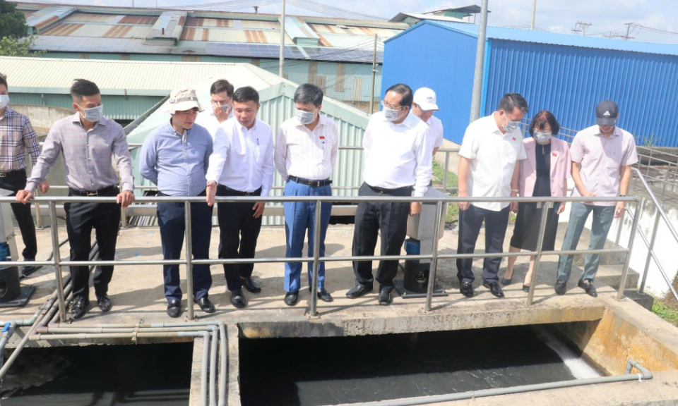 Tăng cường kiểm tra, xử lý vi phạm trong lĩnh vực nông nghiệp và môi trường