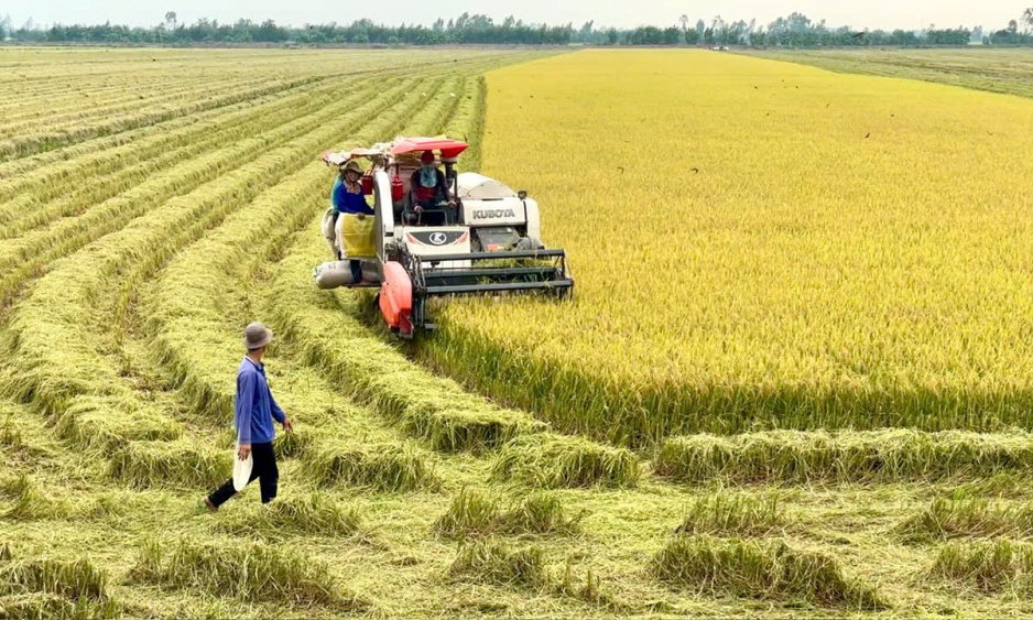 Nỗ lực 'về đích' xã nông thôn mới