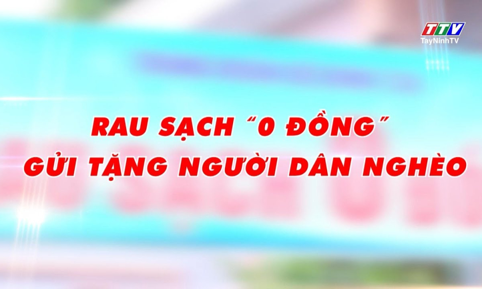Quốc phòng toàn dân: Rau sạch "0 đồng” gửi tặng người dân nghèo