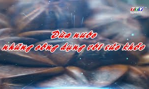 Món ăn bài thuốc: Dừa nước - những công dụng với sức khỏe
