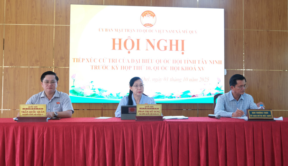 Đoàn đại biểu Quốc hội tỉnh tiếp xúc cử tri tại xã Mỹ Quý