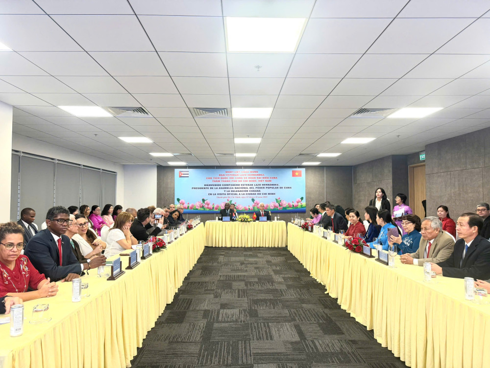 Đại biểu tham dự buổi làm việc