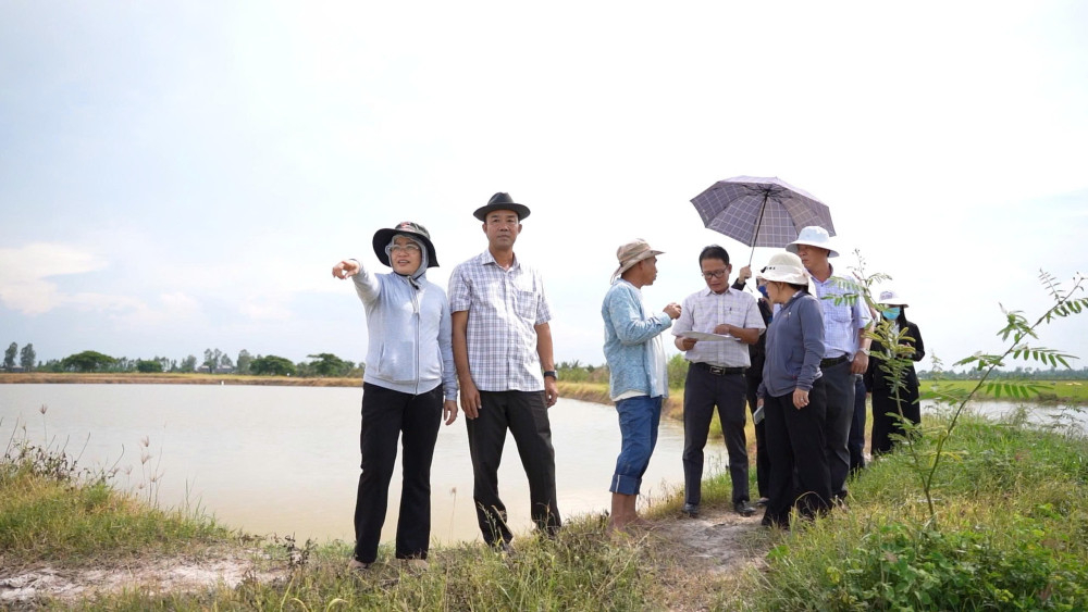 Đoàn khảo sát tình hình thực tế tại khu vực có 250ha lúa đang bị đe dọa