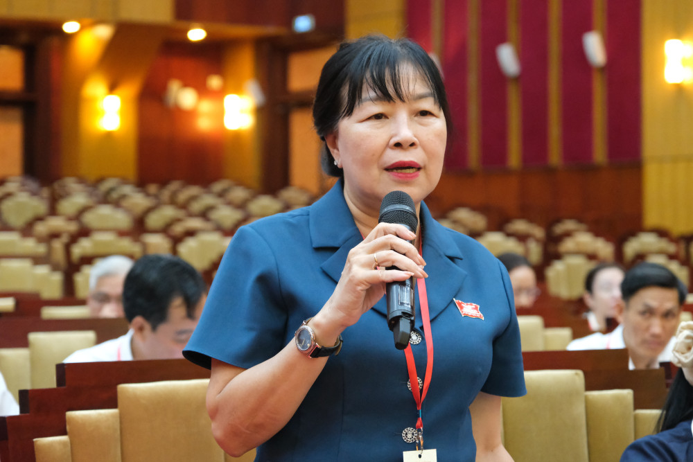 Đại biểu ở Tổ thảo luận số 2 phát biểu ý kiến