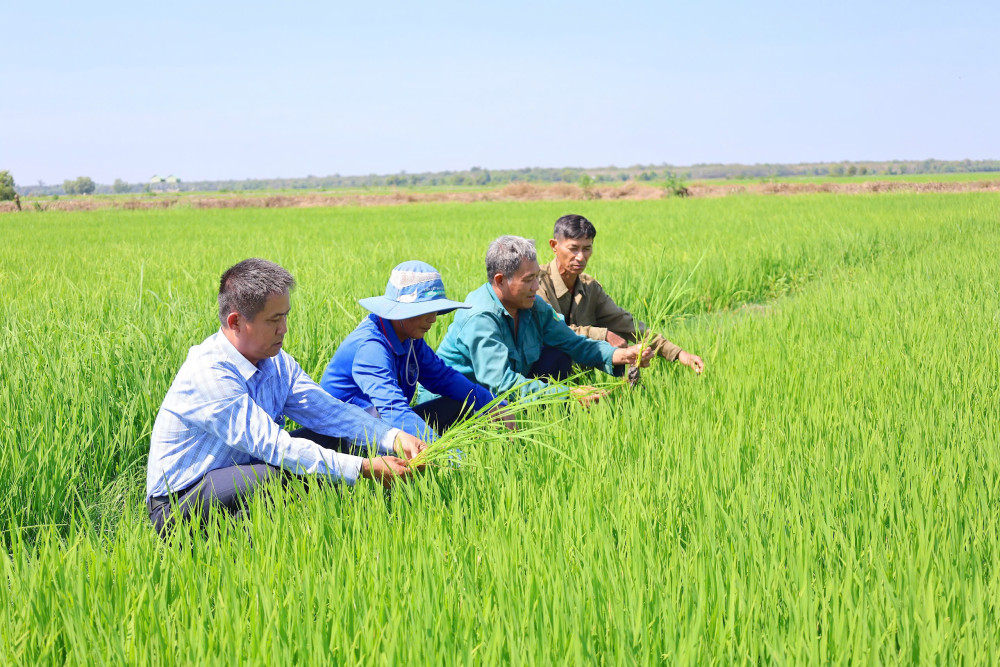 Cử tri mong muốn chính sách liên kết trong nông nghiệp tiếp tục được quan tâm, duy trì để nông nghiệp Tây Ninh phát triển mạnh mẽ