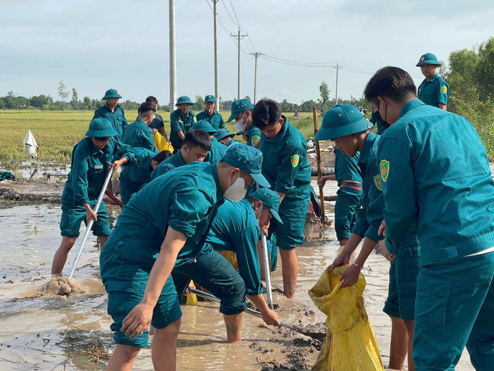 Dân quân đắp bờ bao ngăn lũ tràn vào đồng lúa