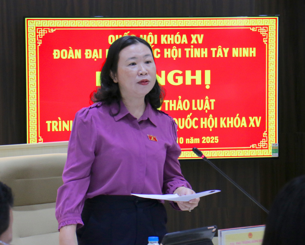 Phó Trưởng đoàn chuyên trách Đoàn đại biểu Quốc hội tỉnh Lê Thị Song An phát biểu tại hội nghị