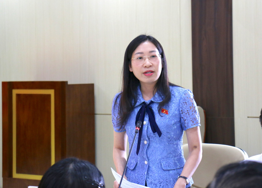 Phó Trưởng đoàn chuyên trách Đoàn đại biểu Quốc hội tỉnh Hoàng Thị Thanh Thúy phát biểu tại hội nghị