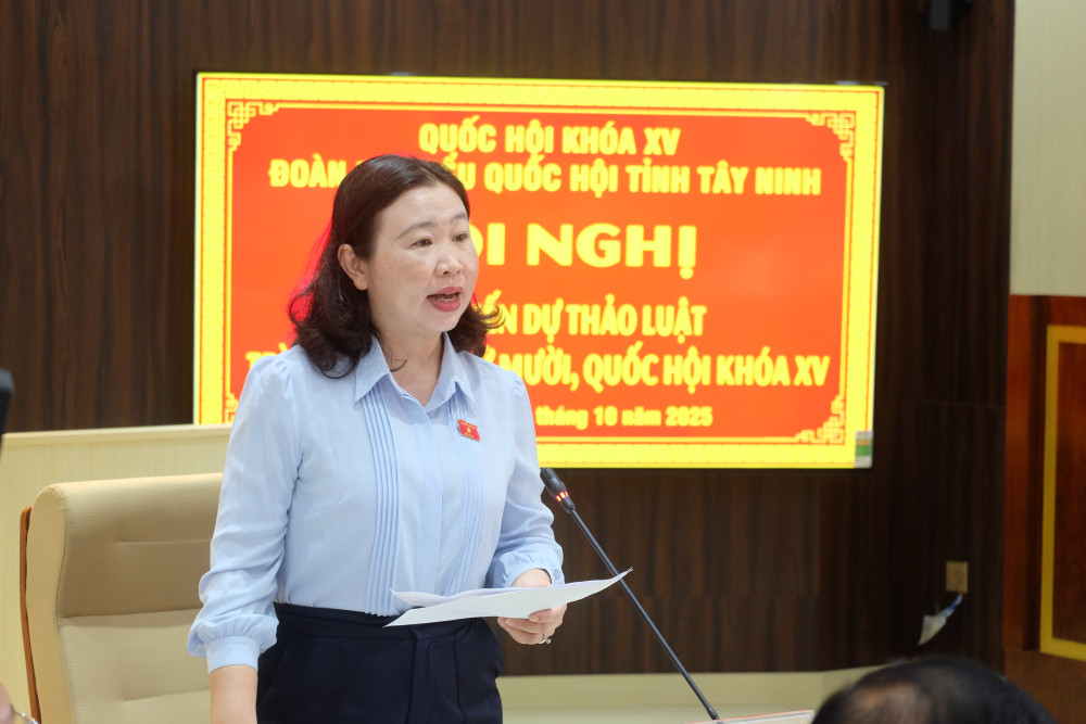 Phó Trưởng đoàn chuyên trách Đoàn đại biểu Quốc hội tỉnh Lê Thị Song An phát biểu tại hội nghị
