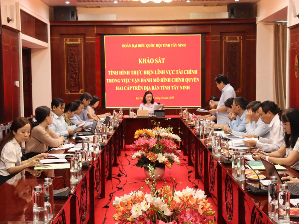Đại biểu tham dự buổi làm việc
