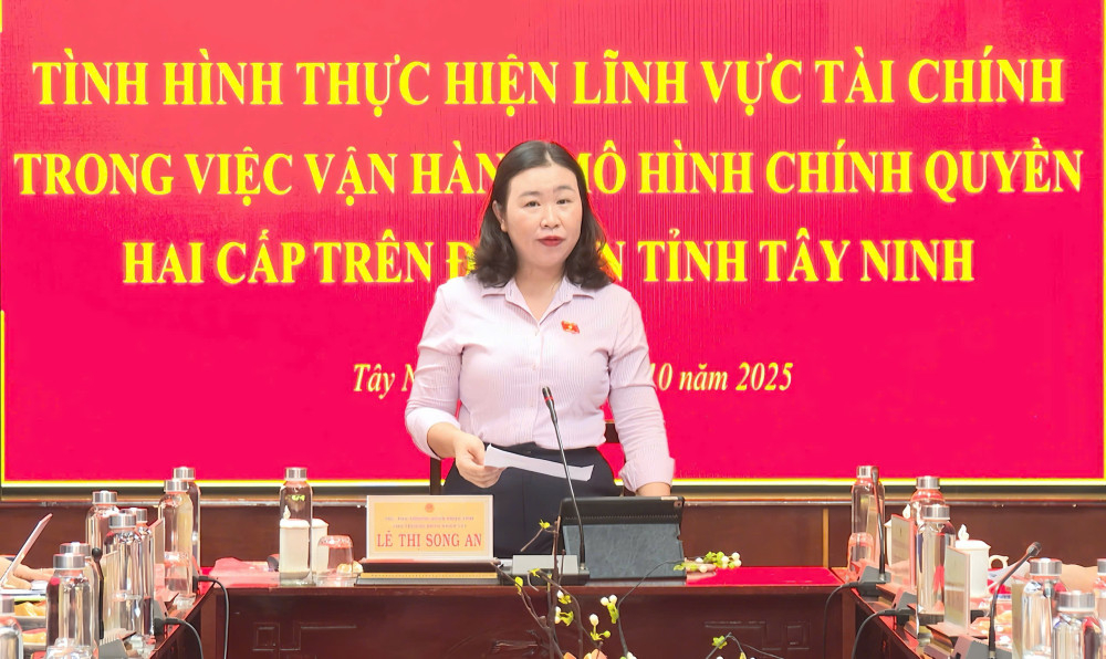 Phó Trưởng đoàn chuyên trách Đoàn đại biểu Quốc hội tỉnh Lê Thị Song An phát biểu tại buổi làm việc