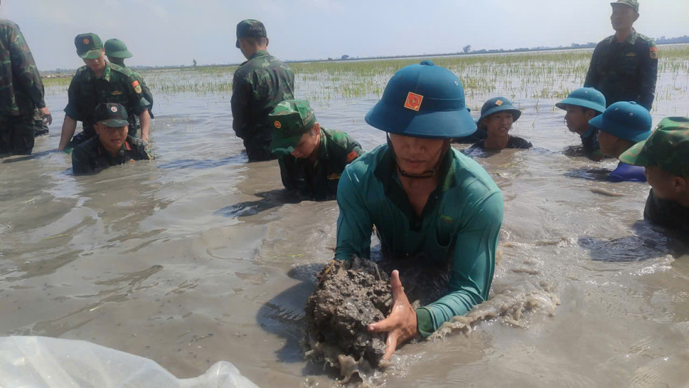 Cán bộ, chiến sĩ ngâm mình trong nước lũ để ứng cứu lúa cho người dân