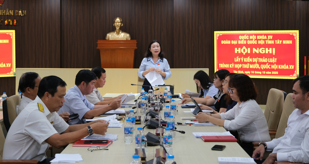 Đại biểu tham dự hội nghị