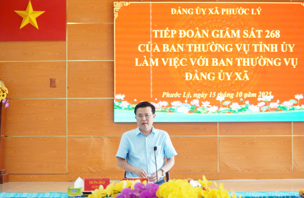Phó Bí thư Tỉnh ủy, Chủ tịch UBMTTQ Việt Nam tỉnh Nguyễn Thanh Hải phát biểu tại buổi giám sát