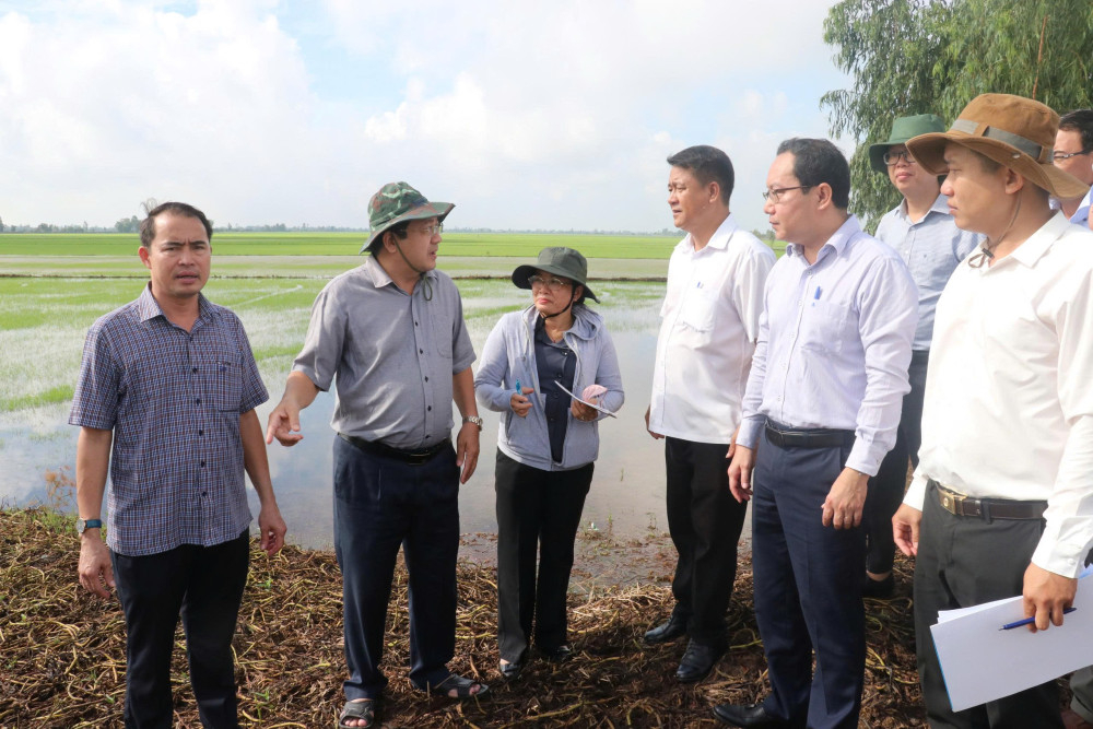 Ủy viên Ban Thường vụ Tỉnh ủy, Phó Chủ tịch UBND tỉnh Nguyễn Minh Lâm (thứ 2, từ trái qua) kiểm tra tình hình lũ tại xã Nhơn Hòa Lập