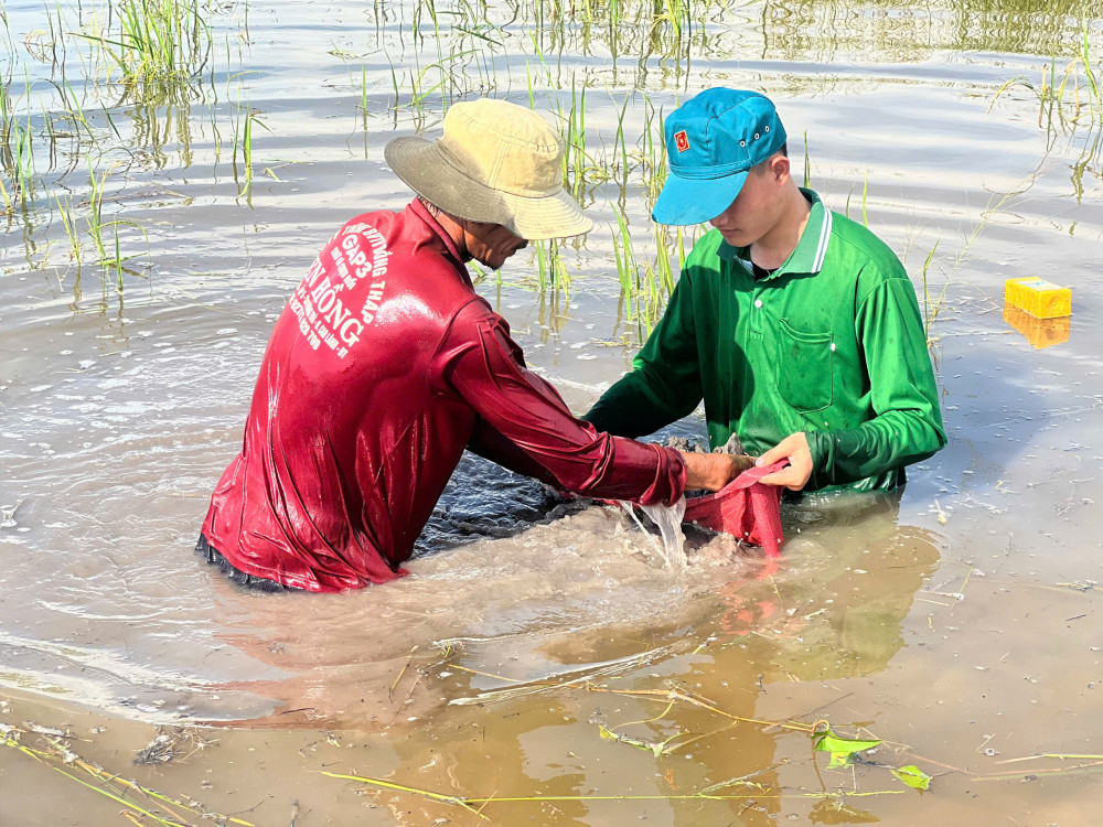 Cán bộ, dân quân xã Hưng Điền cùng người dân gia cố đê bao