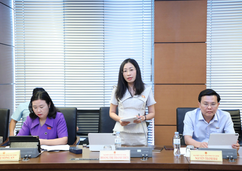 Đại biểu Hoàng Thị Thanh Thúy - Phó Trưởng đoàn chuyên trách Đoàn đại biểu Quốc hội tỉnh phát biểu
