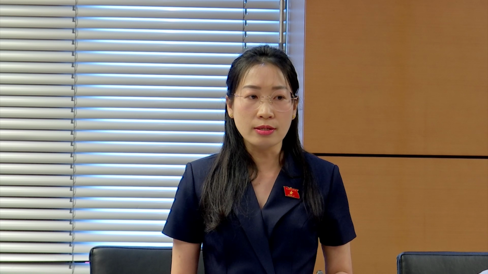 Đại biểu Hoàng Thị Thanh Thúy - Phó Trưởng đoàn chuyên trách Đoàn đại biểu Quốc hội tỉnh phát biểu