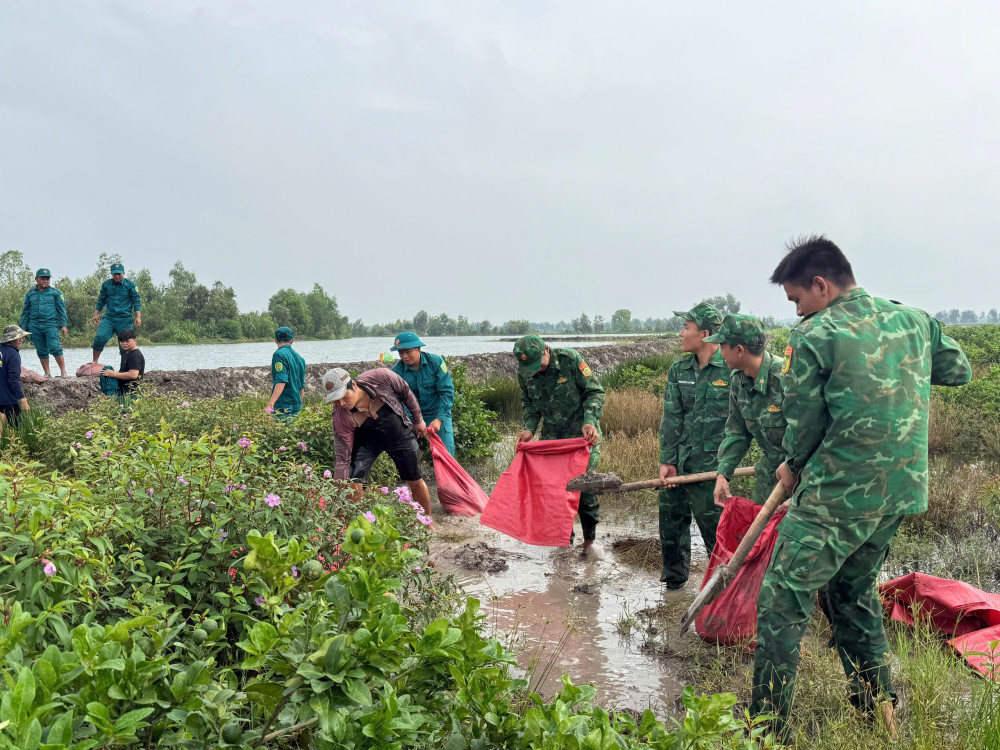 Cán bộ, chiến sĩ Đồn Biên phòng Mỹ Thạnh Tây giúp dân gia cố đê bao, bảo vệ hơn 2ha chanh trước nguy cơ lũ
