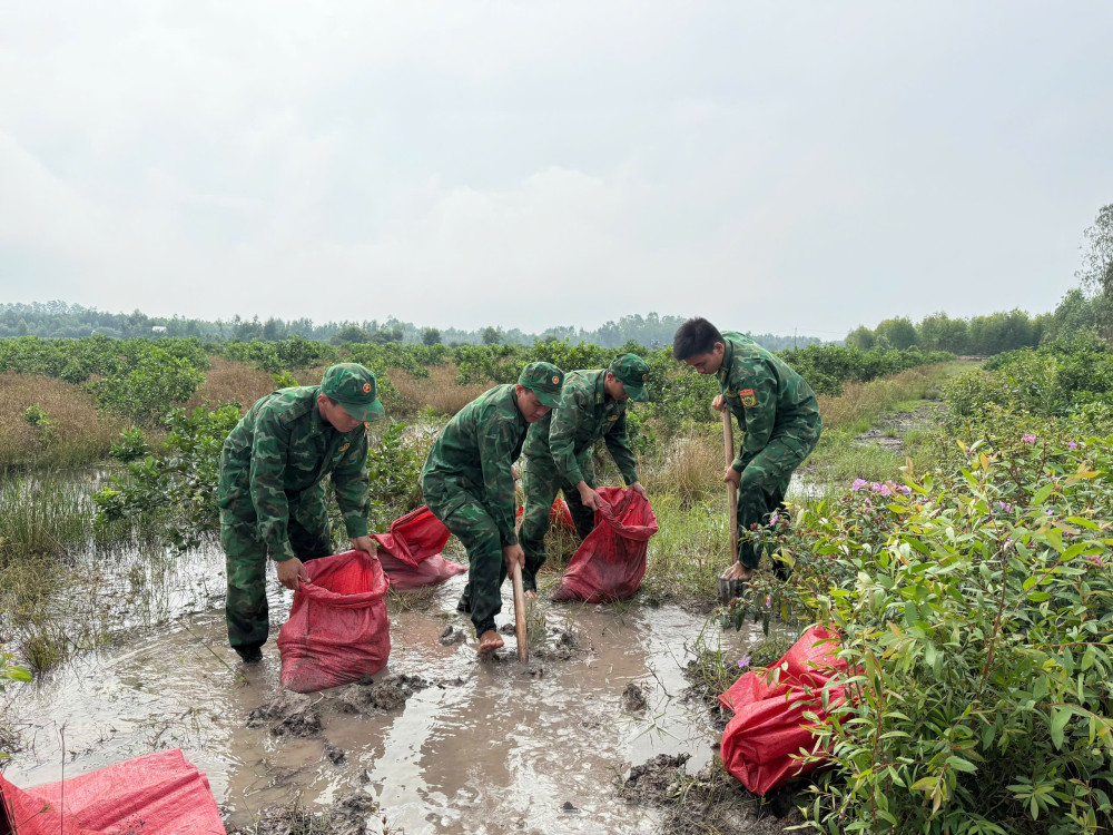 Cán bộ, chiến sĩ Đồn Biên phòng Mỹ Thạnh Tây kịp thời giúp dân gia cố đê bao