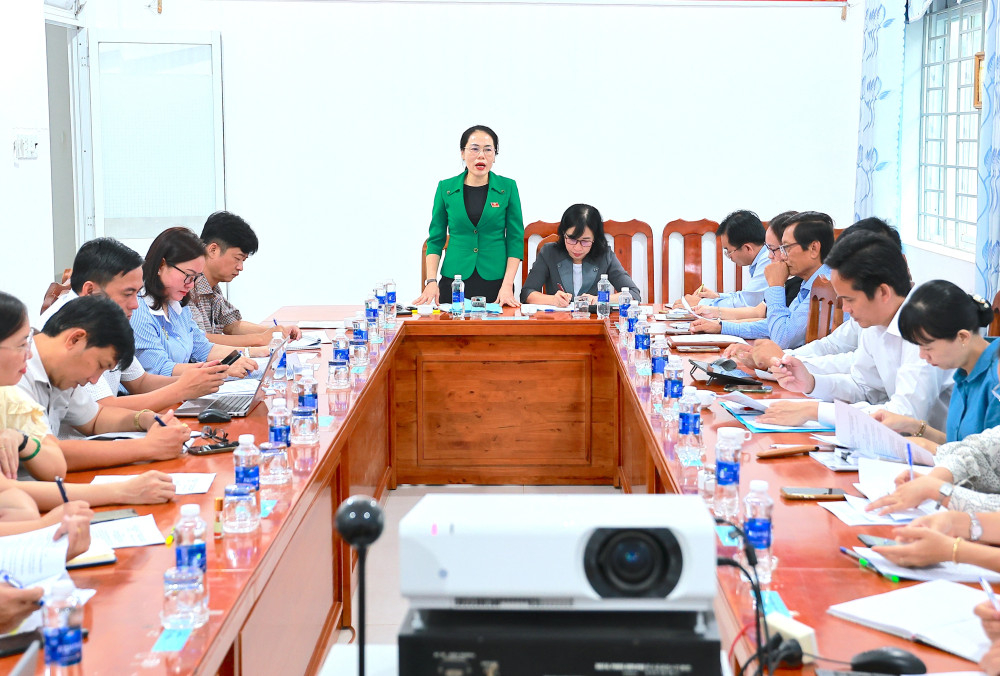 Đại biểu tham dự buổi làm việc