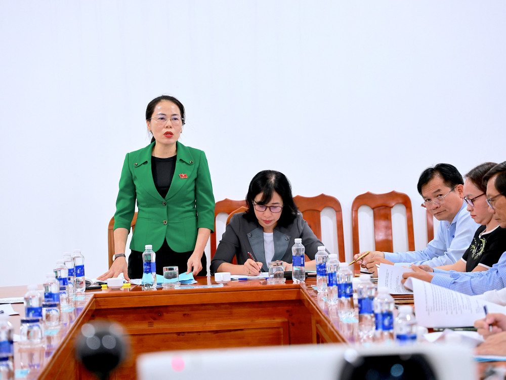 Trưởng ban Văn hóa - Xã hội HĐND tỉnh Nguyễn Thị Hồng Phúc phát biểu kết luận tại buổi khảo sát 