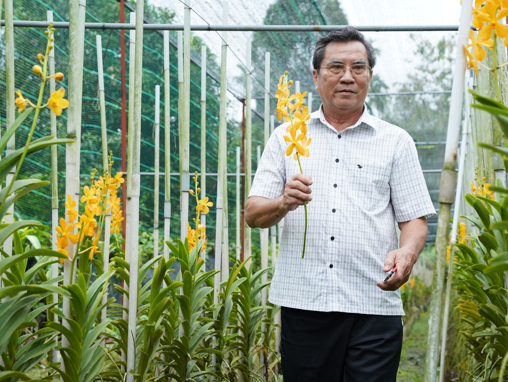 Ở tuổi ngoài 60, hằng ngày ông Trở vẫn tự tay chăm sóc vườn lan 