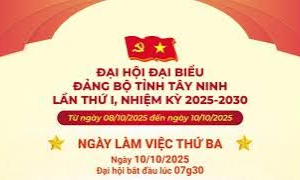 Chương trình ngày làm việc thứ ba, Đại hội đại biểu Đảng bộ tỉnh Tây Ninh lần thứ I, nhiệm kỳ 2025 - 2030