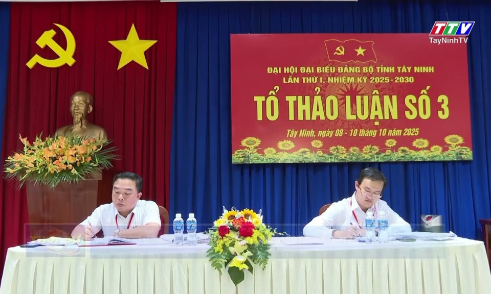 Tổ thảo luận 3: Quan tâm đến vấn đề thoát nước đô thị 