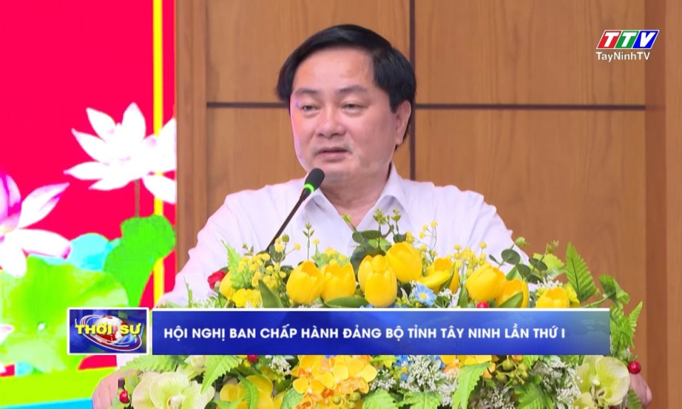 Hội nghị Ban Chấp hành Đảng bộ tỉnh lần thứ I