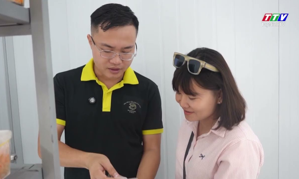Doanh nhân Tây Ninh: Bản lĩnh, sáng tạo và khát vọng vươn xa 