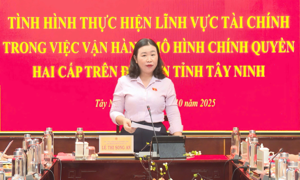 Khảo sát tình hình thực hiện lĩnh vực tài chính trong vận hành mô hình chính quyền địa phương 2 cấp