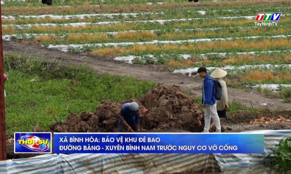 Tây Ninh chủ động ứng phó, khắc phục sự cố trước diễn biến phức tạp của mưa lũ
