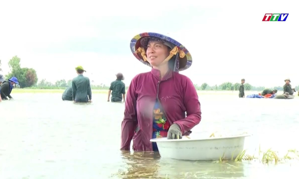 Quân và dân đồng lòng vượt lũ