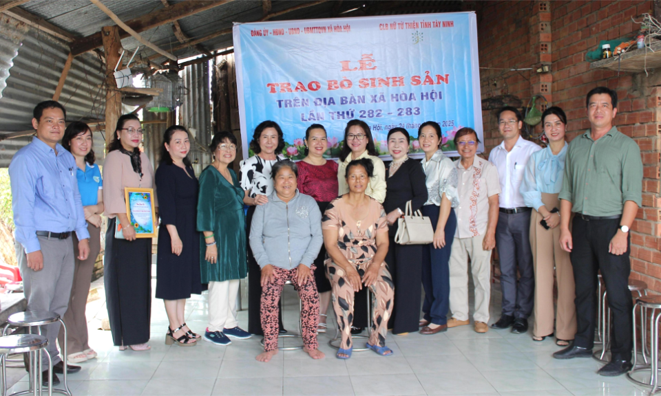 Trao bò sinh sản cho phụ nữ có hoàn cảnh khó khăn xã Hòa Hội