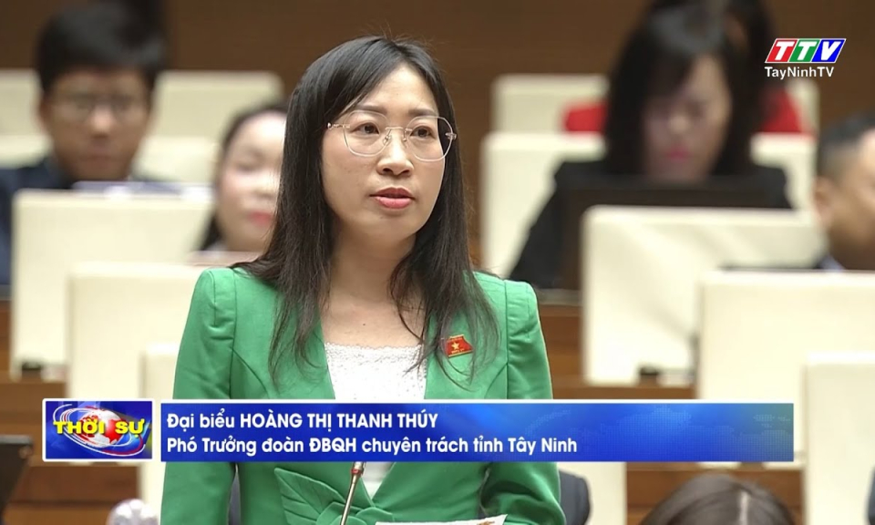 Không nên quy định thẩm quyền giám sát của Tổ đại biểu HĐND