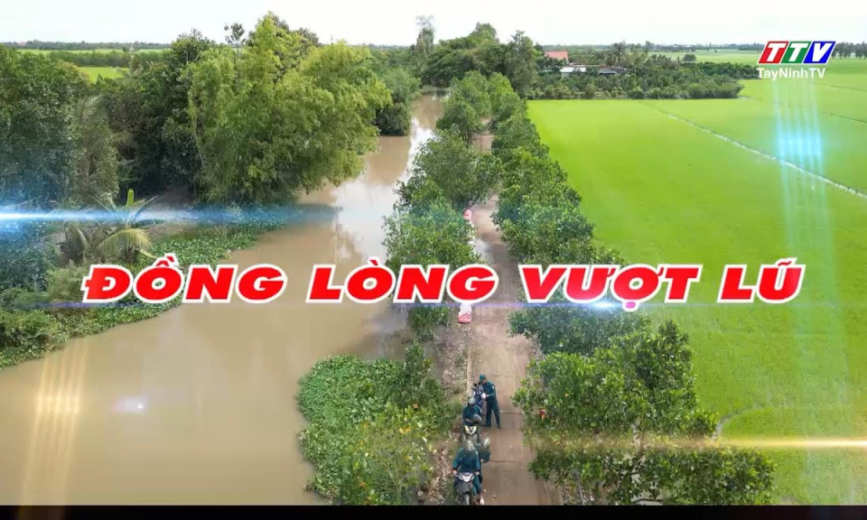 Phóng sự: Đồng lòng vượt lũ
