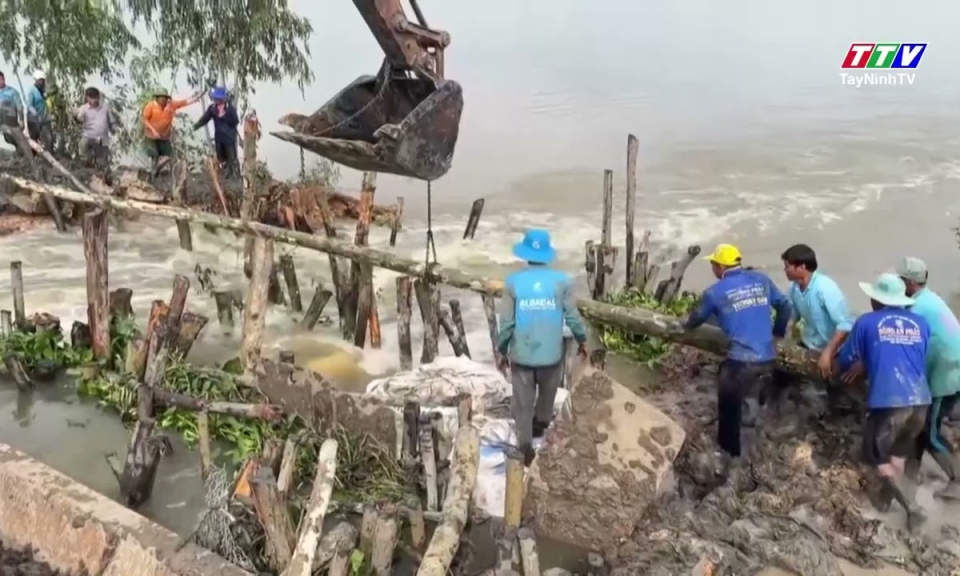 Hậu Thạnh vỡ đê bao, 150 hecta lúa chìm trong nước lũ