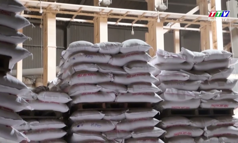 Khẩn trương đẩy mạnh tín dụng cho ngành lúa gạo tại Tây Ninh