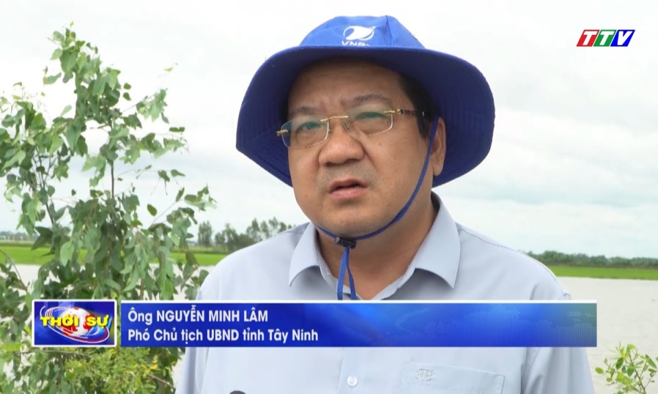 Tìm giải pháp phòng, chống lũ từ sớm, từ xa