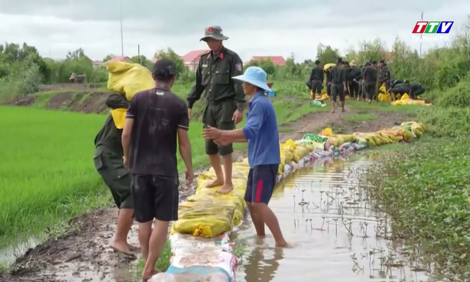 Tây Ninh: Khẩn trương kiểm tra, gia cố đê bao, triển khai các biện pháp ứng phó lũ