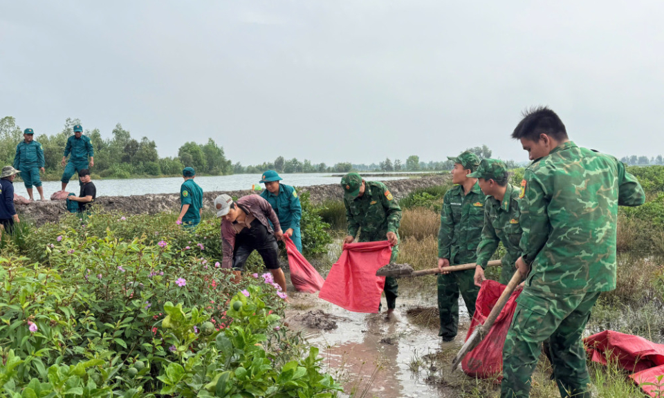 Đồn Biên phòng Mỹ Thạnh Tây khẩn trương giúp dân phòng, chống lũ