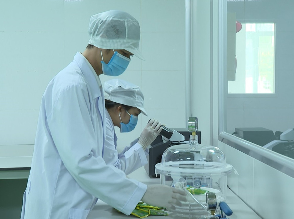 Quy trình sản xuất hiện đại, bảo đảm an toàn vệ sinh thực phẩm của Công ty TNHH Một thành viên Trà Tâm Lan