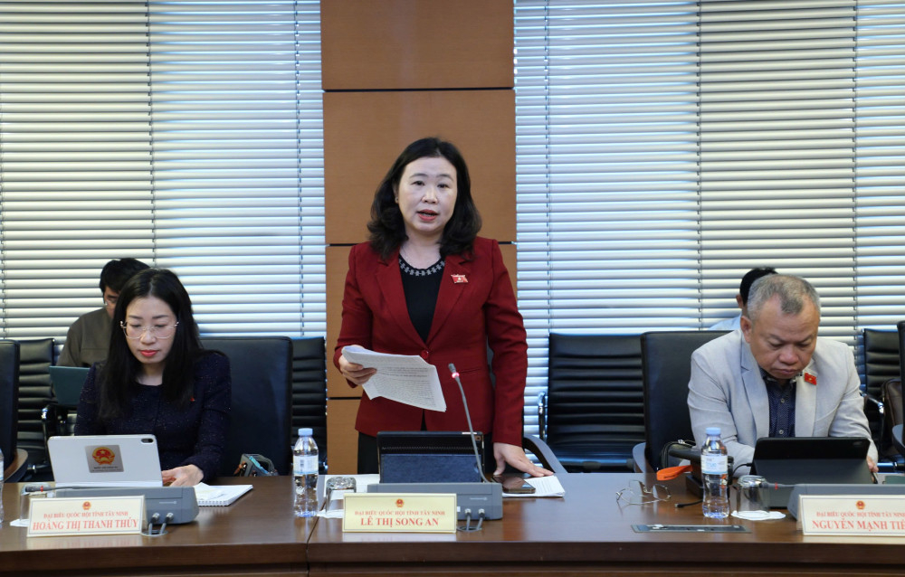 Đại biểu Lê Thị Song An - Phó Trưởng đoàn chuyên trách Đoàn đại biểu Quốc hội tỉnh phát biểu