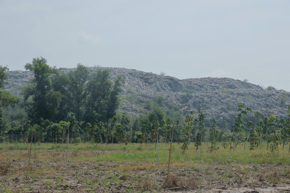 Bãi rác Tân Hưng tồn đọng từ nhiều năm nay